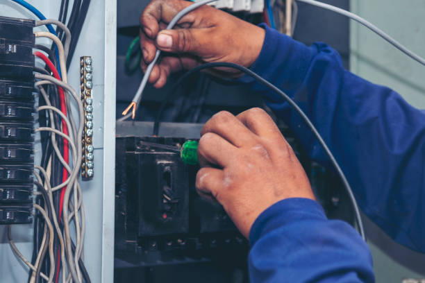 Best Licensed Electrician  in Campbell, FL